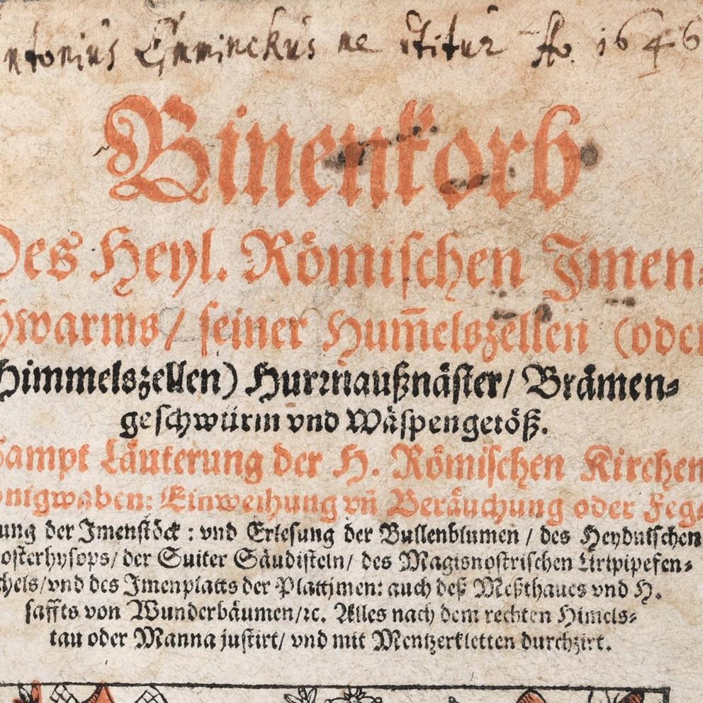 Die Abbildung zeigt den Titel des Bandes in Nahaufnahme.