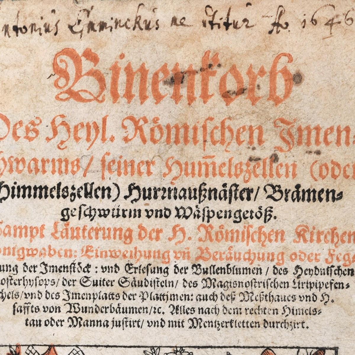 Die Abbildung zeigt den Titel des Bandes in Nahaufnahme.